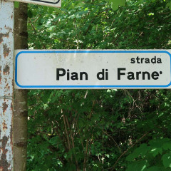 pian-di-farne69